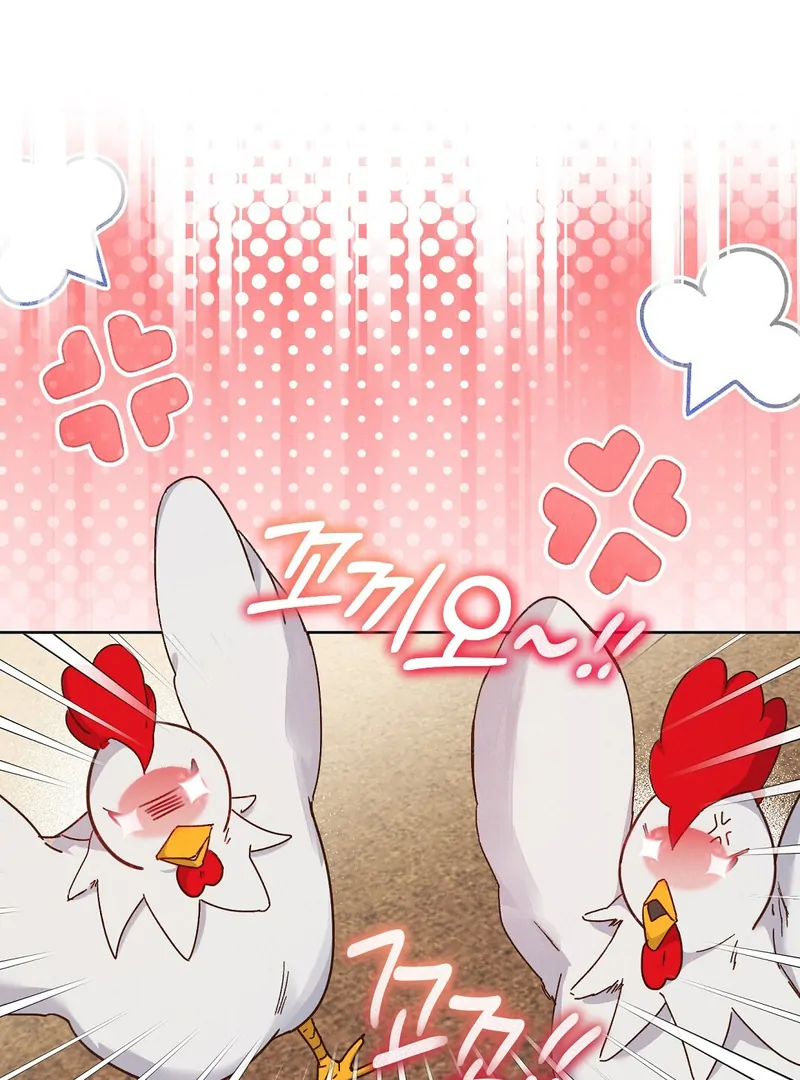 ch 6 27