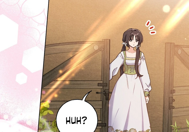 ch 6 37