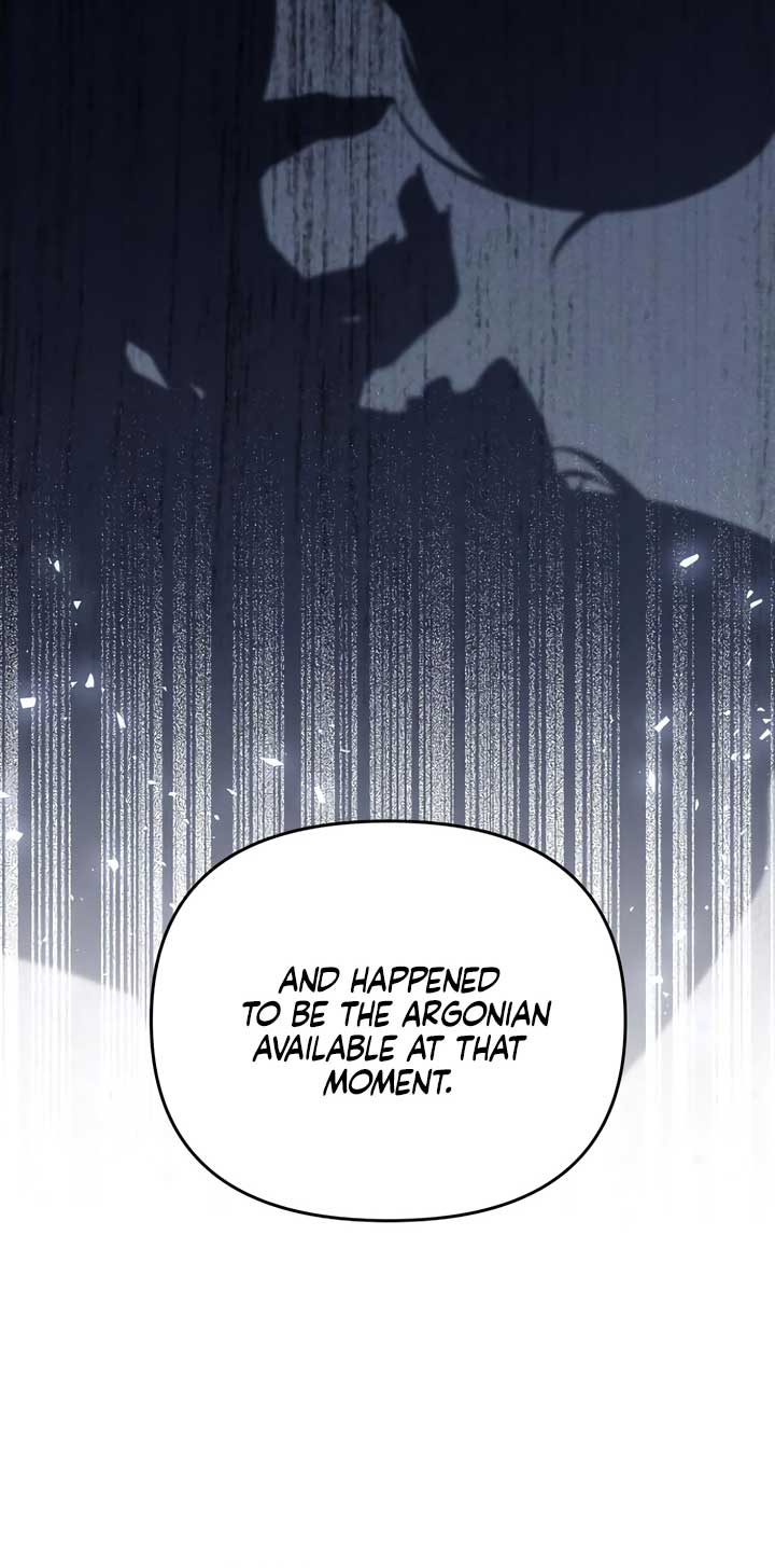 ch 19 28