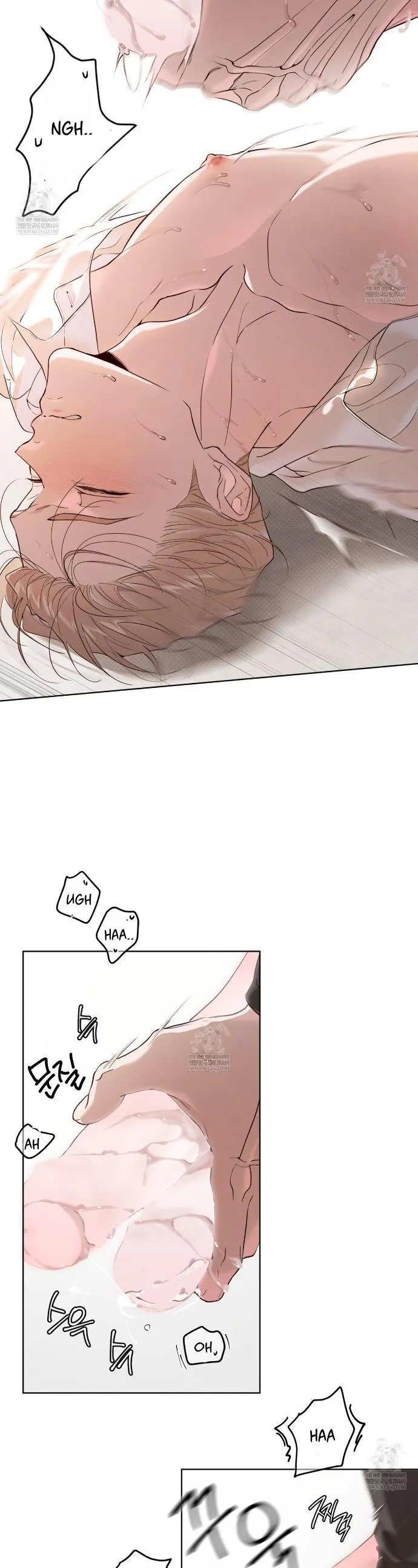 c0e635f80bb0