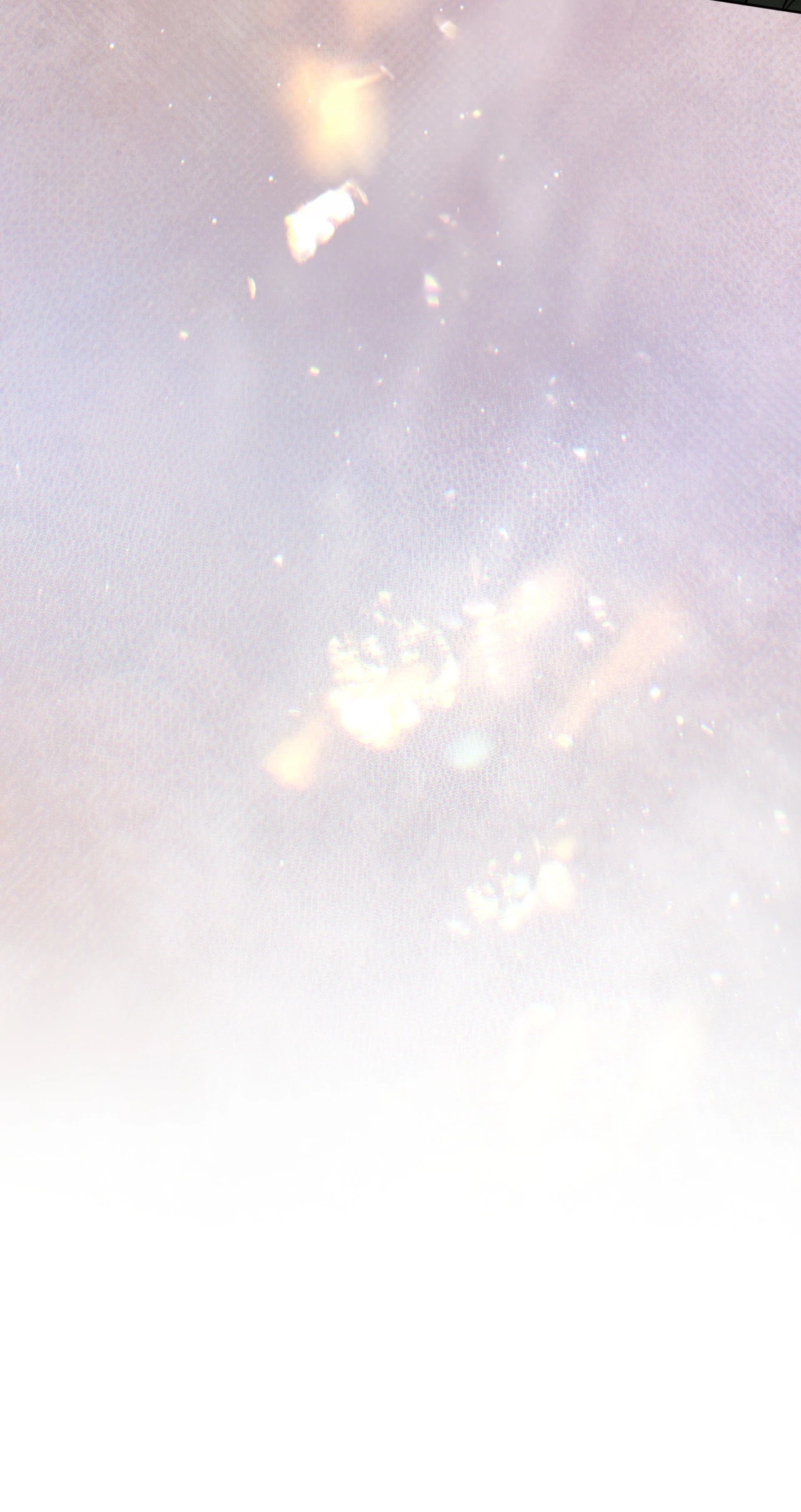 f80e65d57384