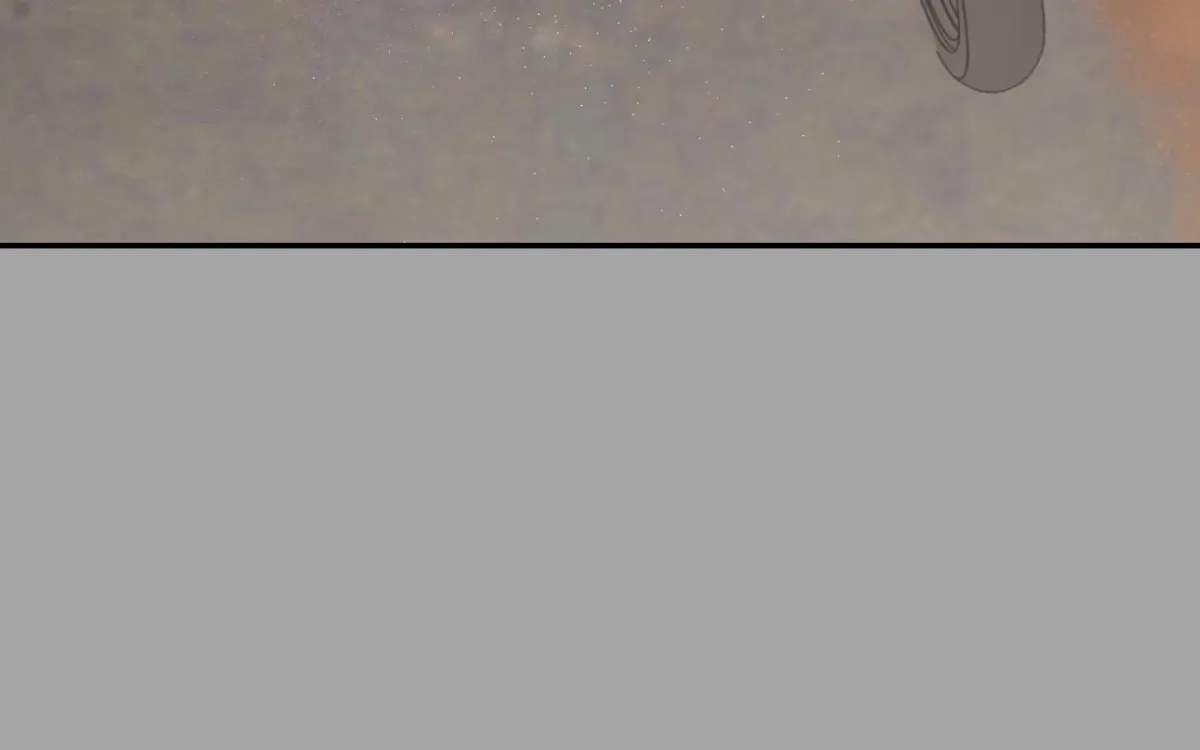 443c206cad45