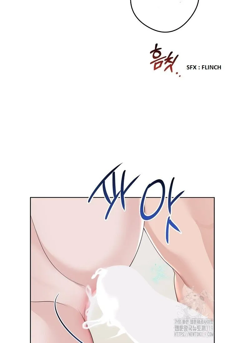 5cc48f5e7626