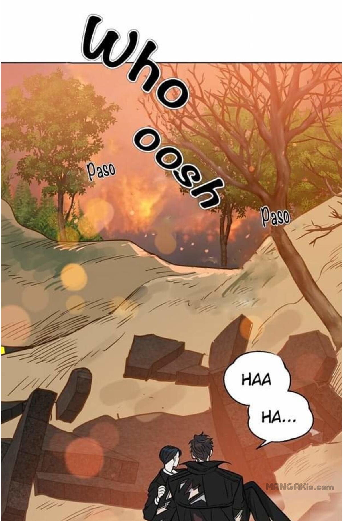 43