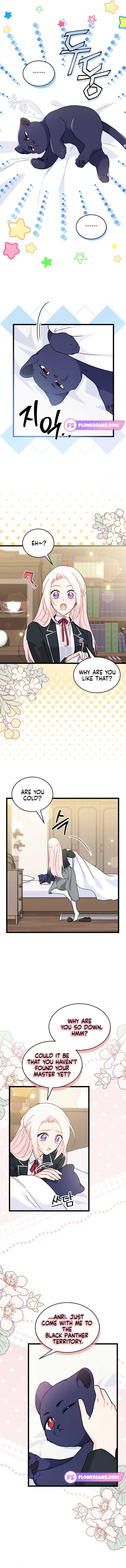 ch 165 5
