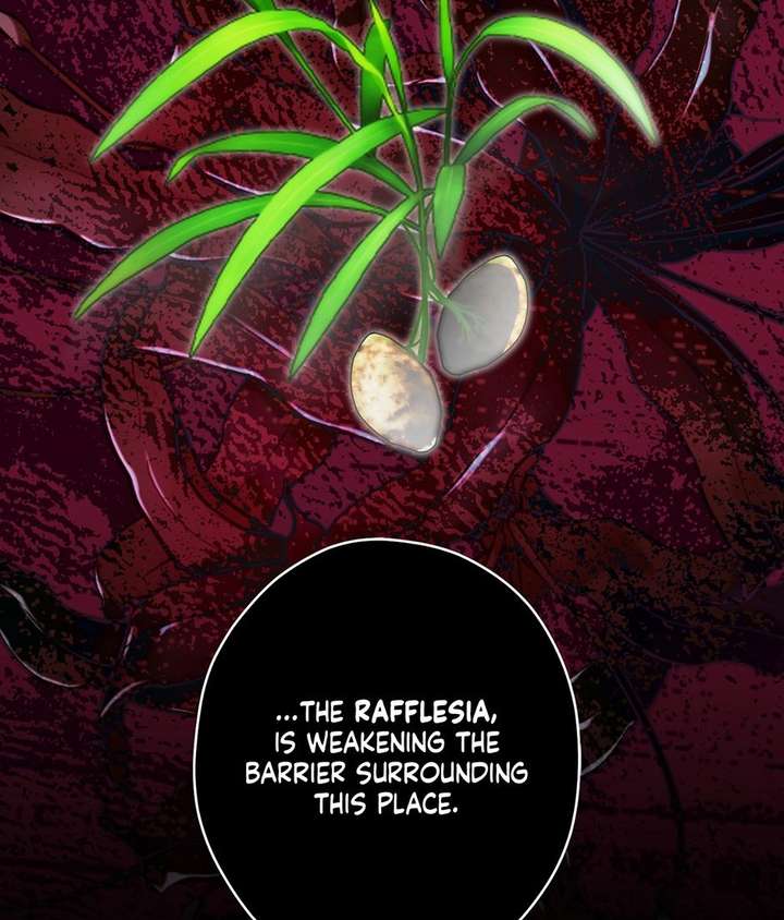 ch 52 26