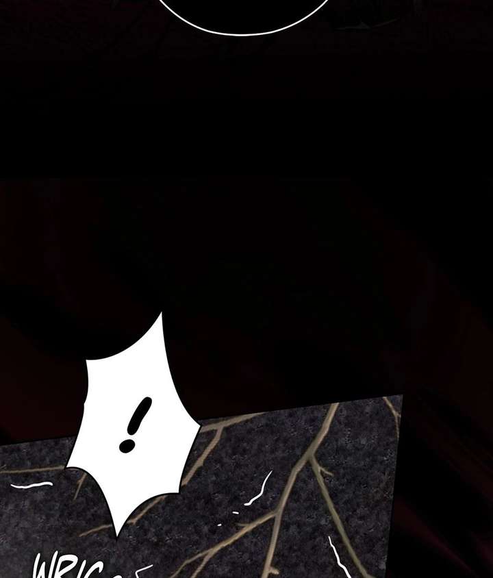 ch 52 27