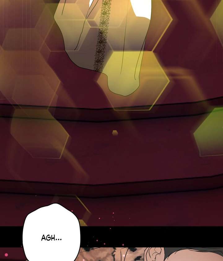 ch 52 59