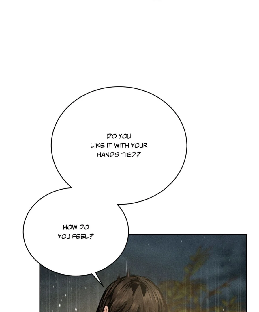 image 25