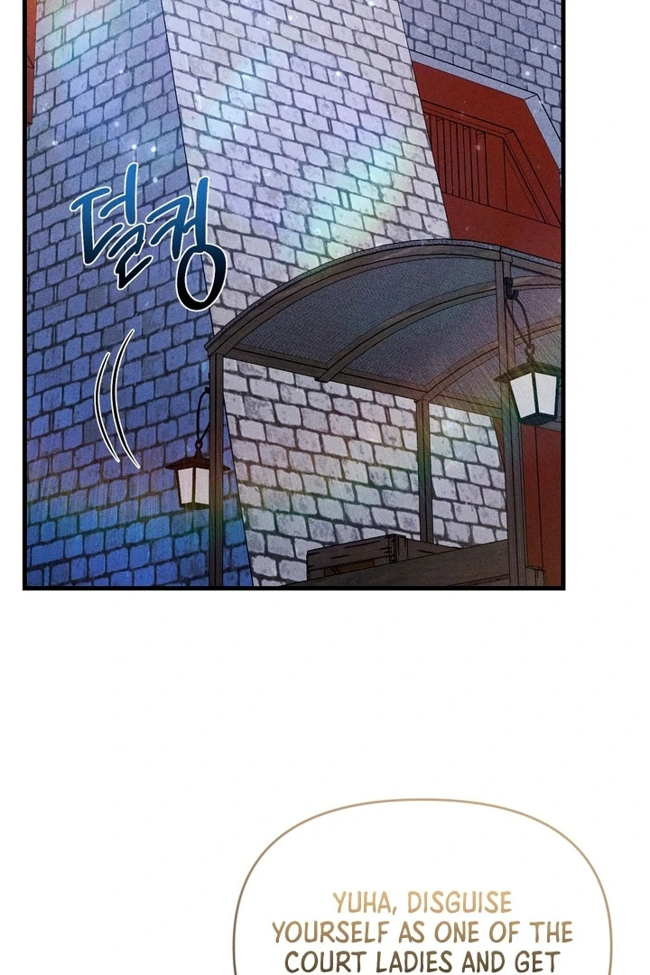 ch 19 17