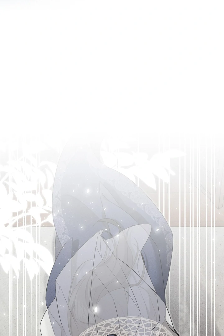 ch 7 81