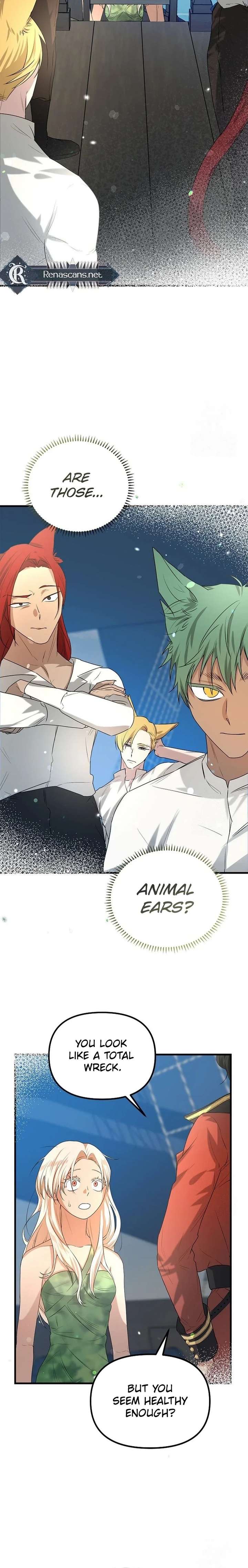 ch 11 25