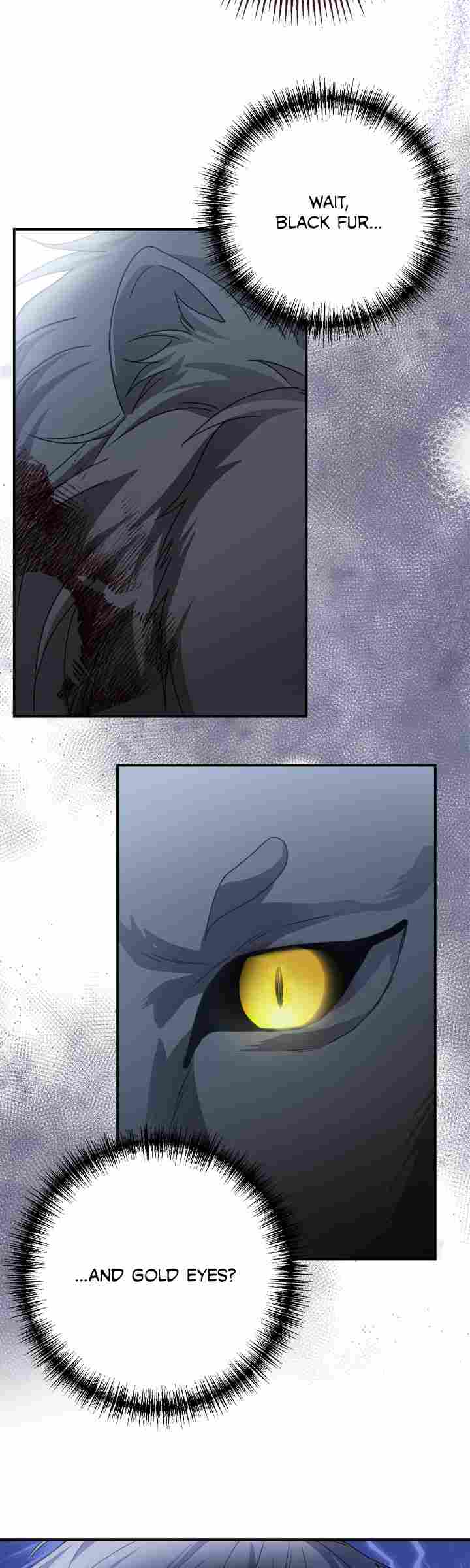 ch 1 56