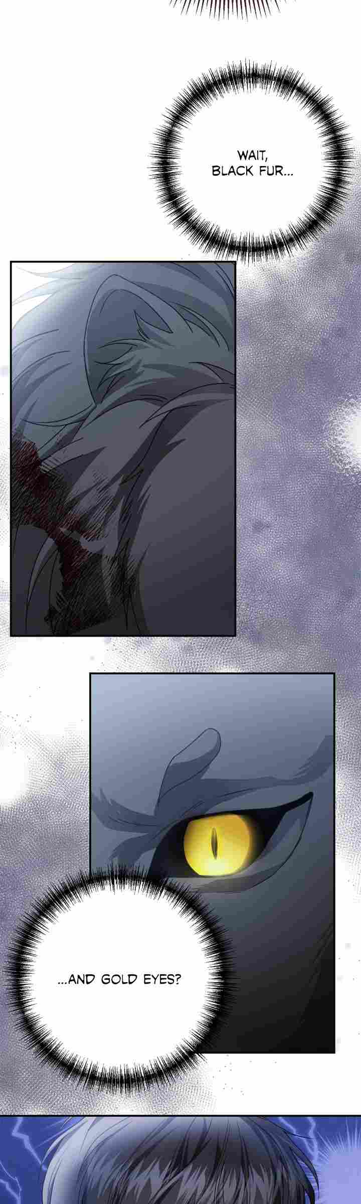 ch 1 61