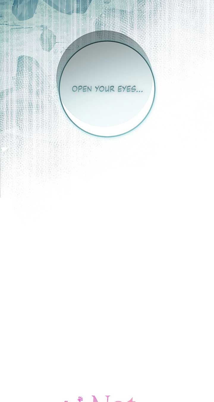 ch 4 17