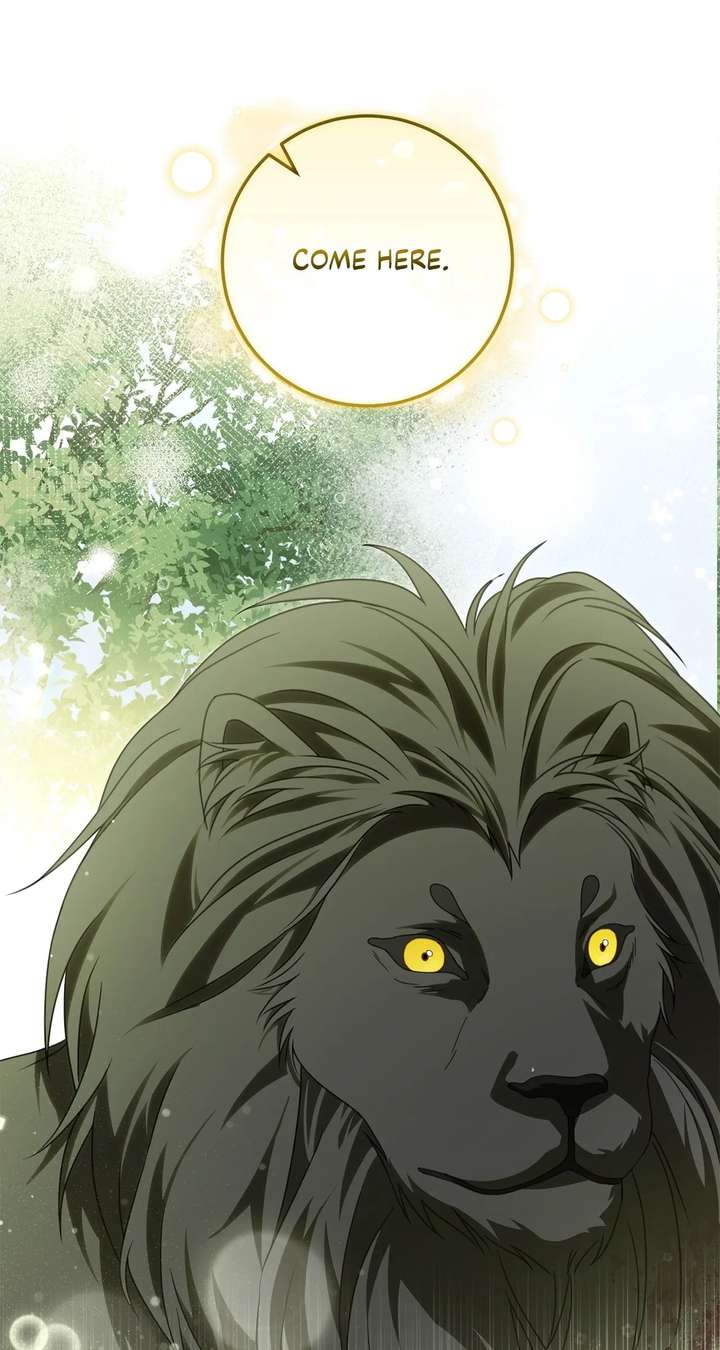 ch 46 23