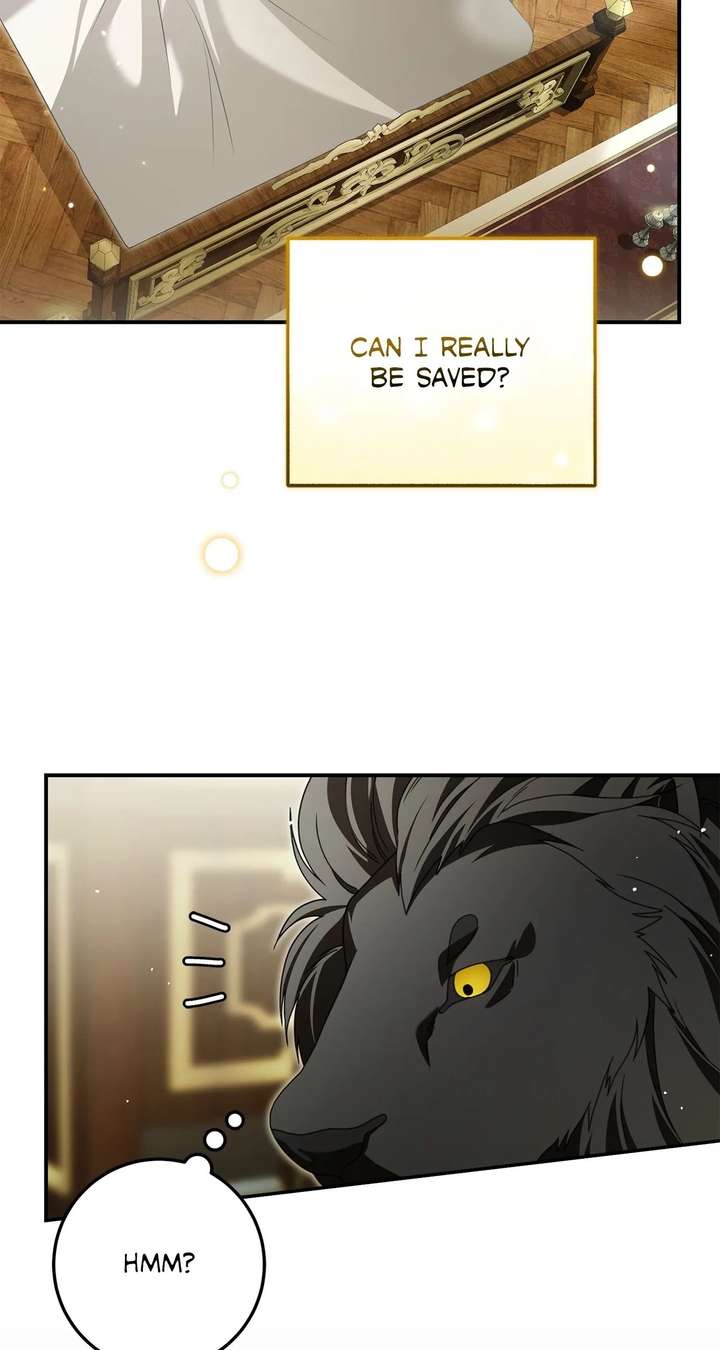 ch 46 81