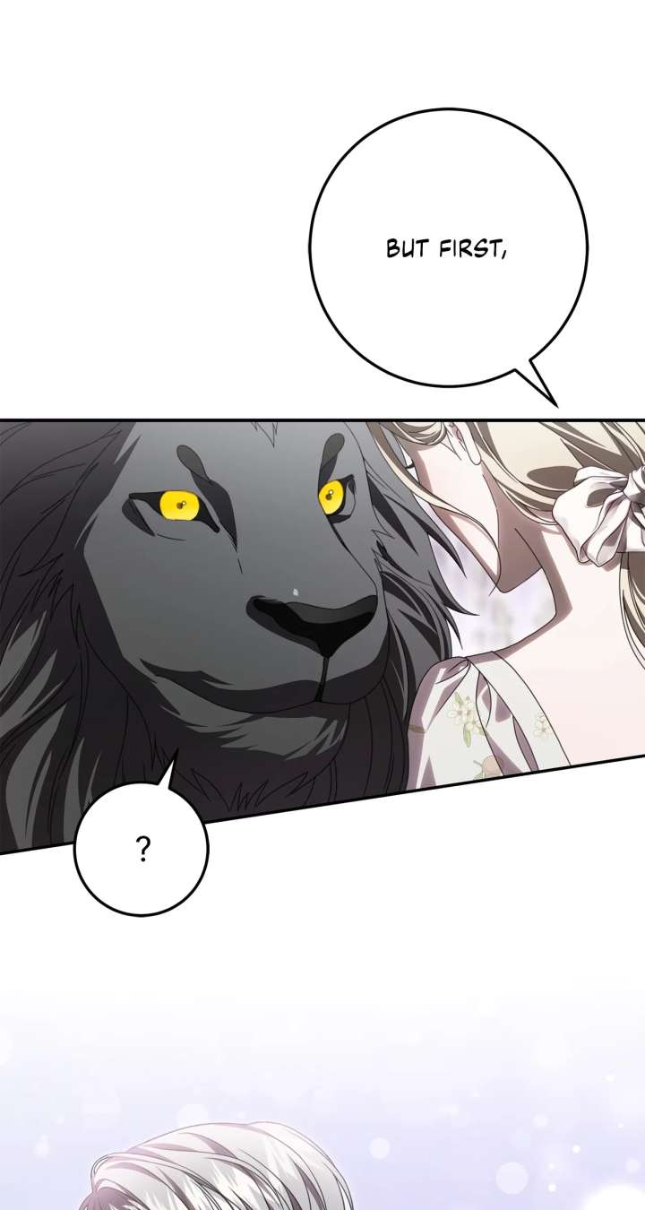 ch 48 42