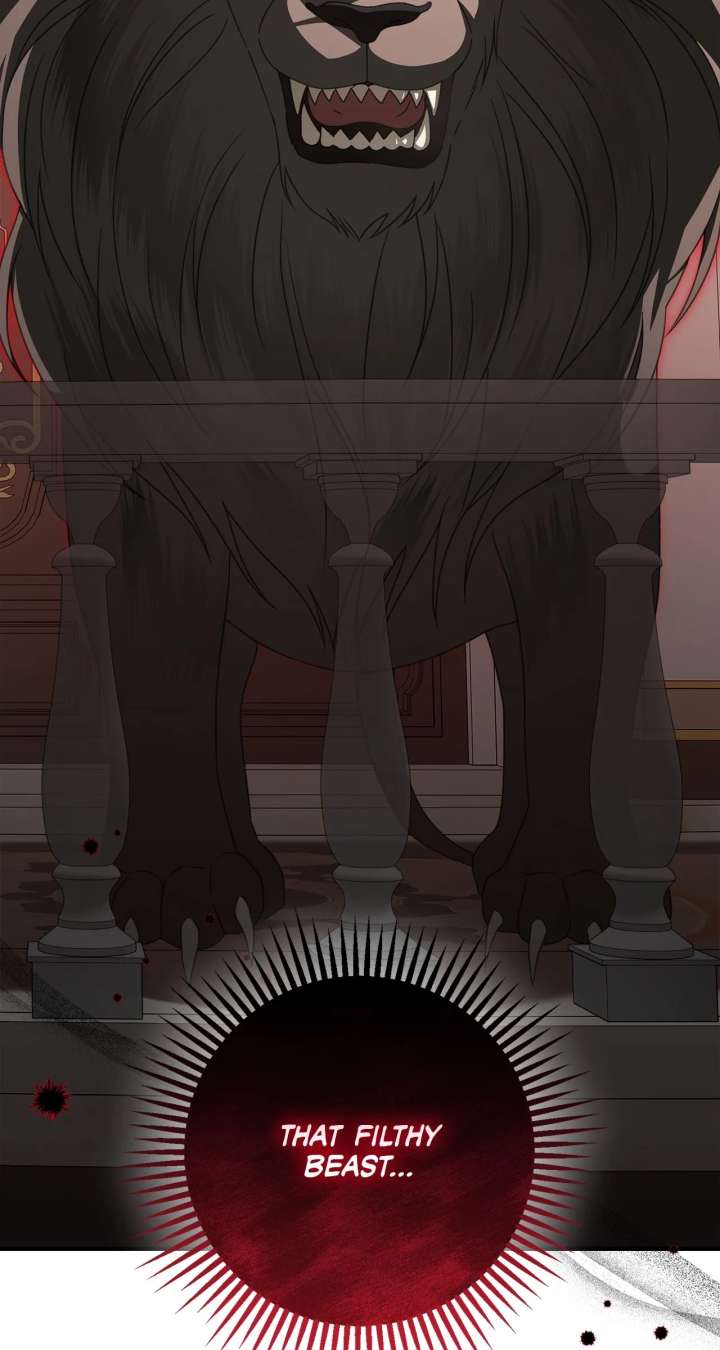 ch 48 58