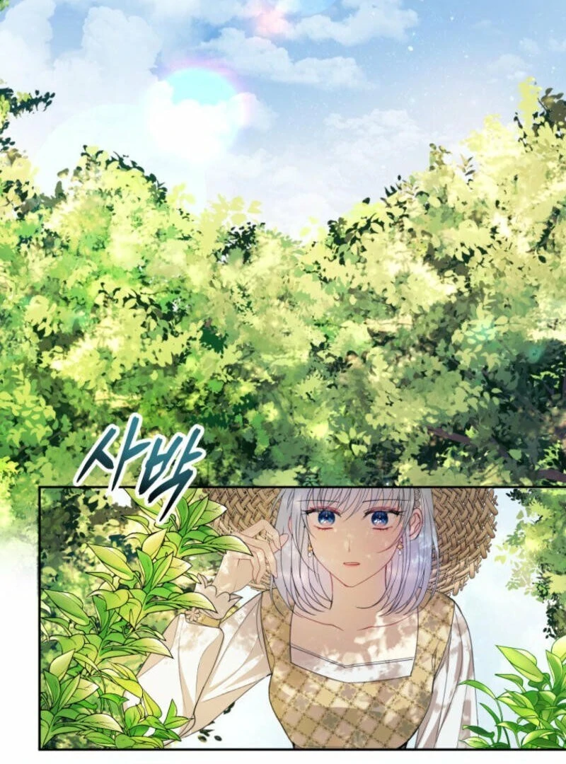 ch 10 5