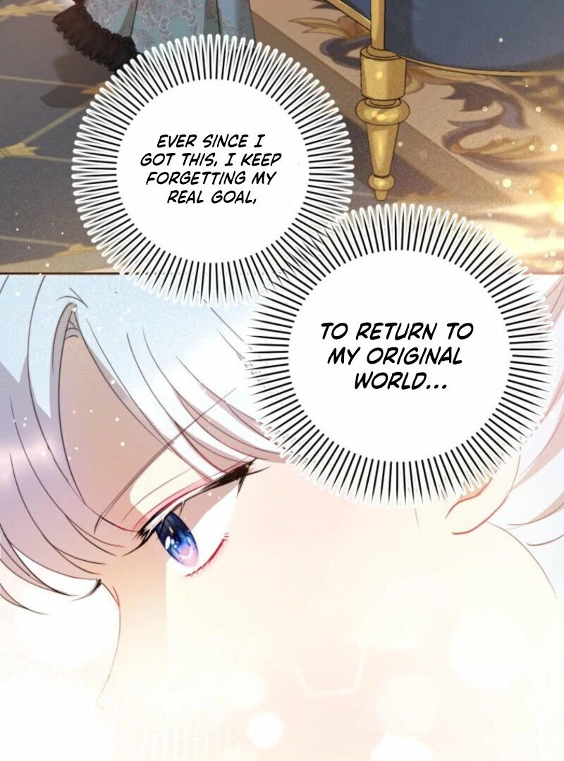 ch 17 17