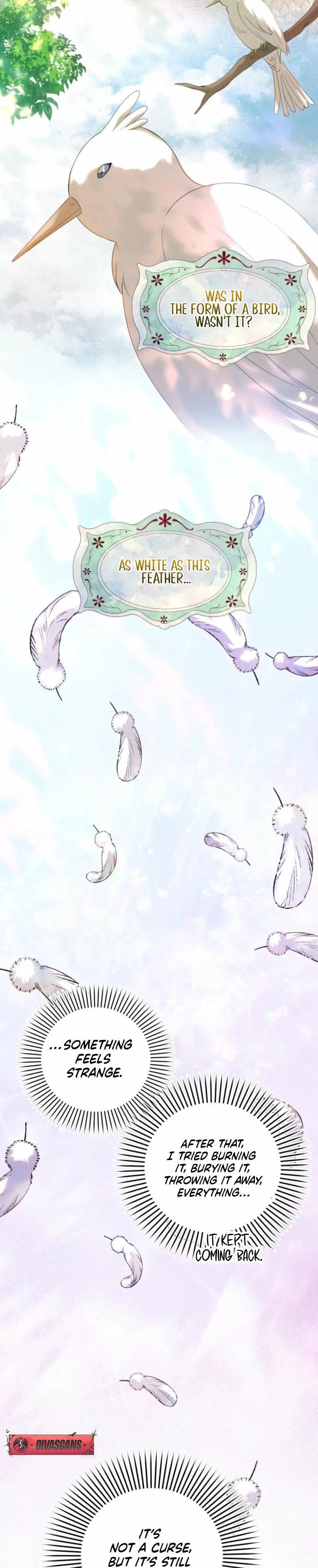 ch 17 21