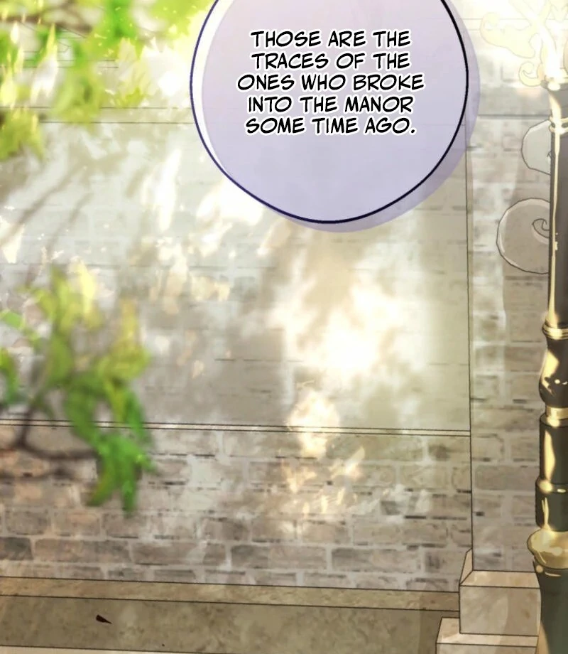 ch 19 4
