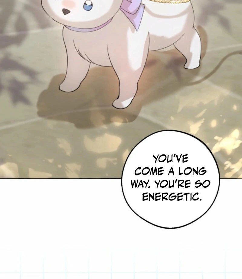 ch 20 4