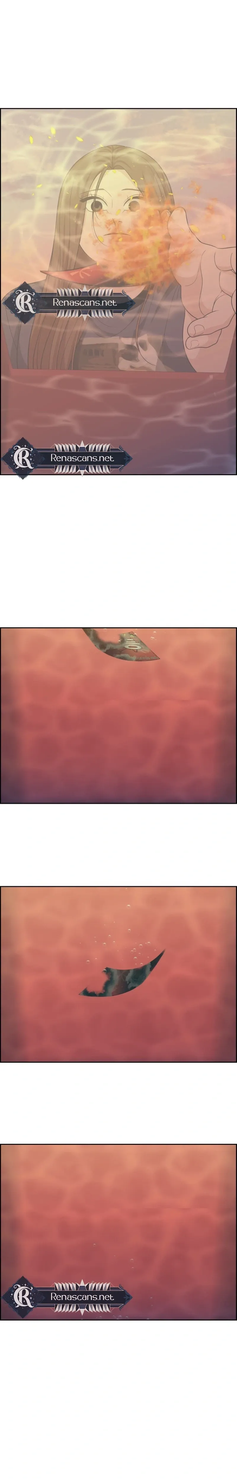 c50579551591