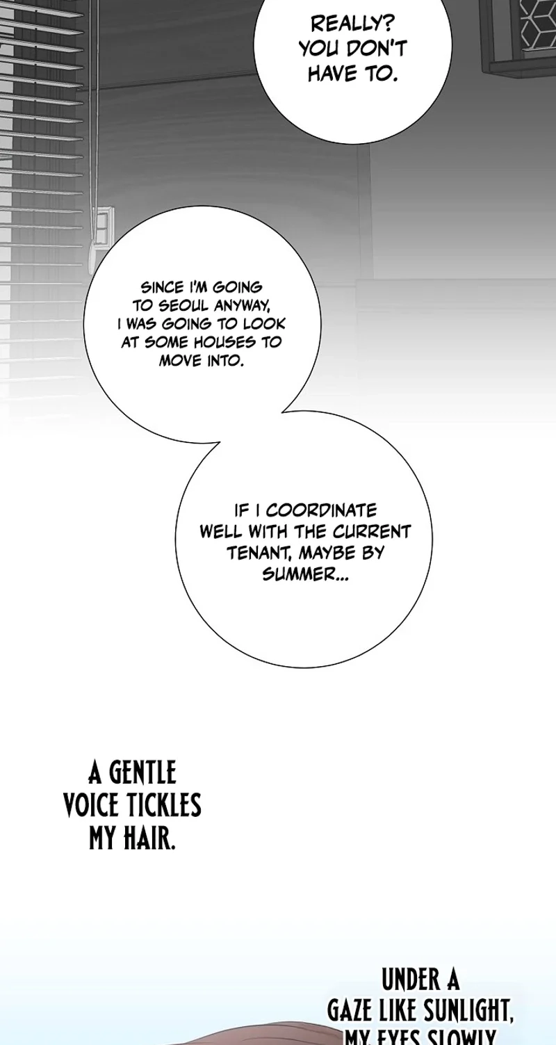 The Summer When You Came Chapter 52 255 922313b5bb6f