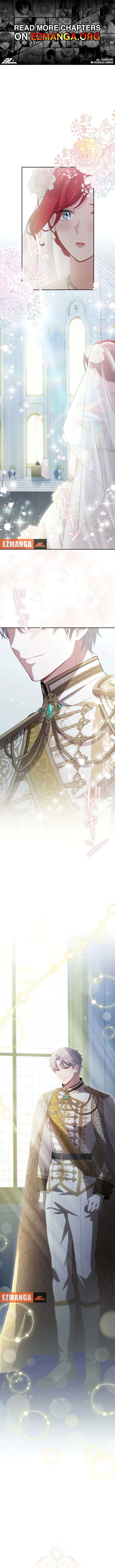ch 54 1