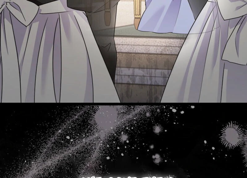 ch 11 25