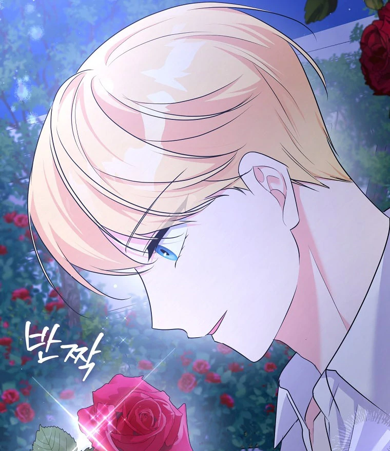ch 15 95