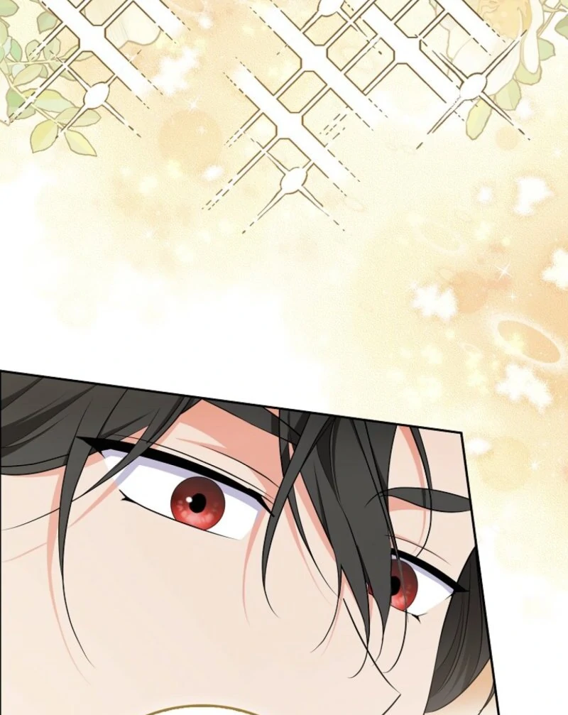 ch 21 114