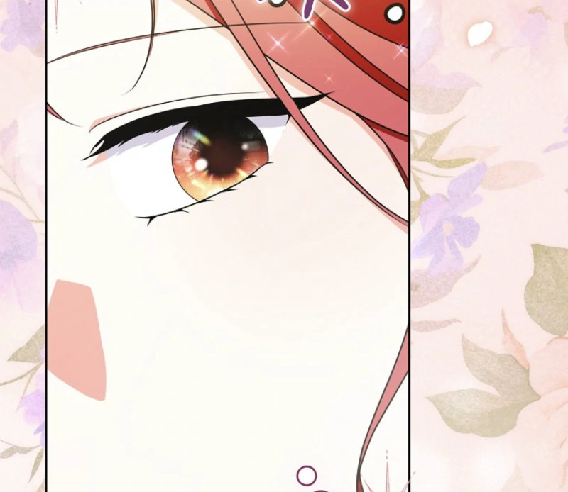 ch 23 100