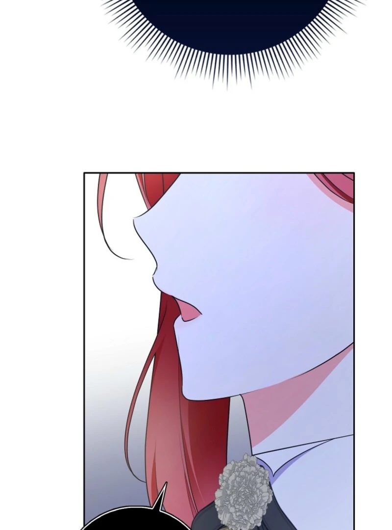 ch 27 113