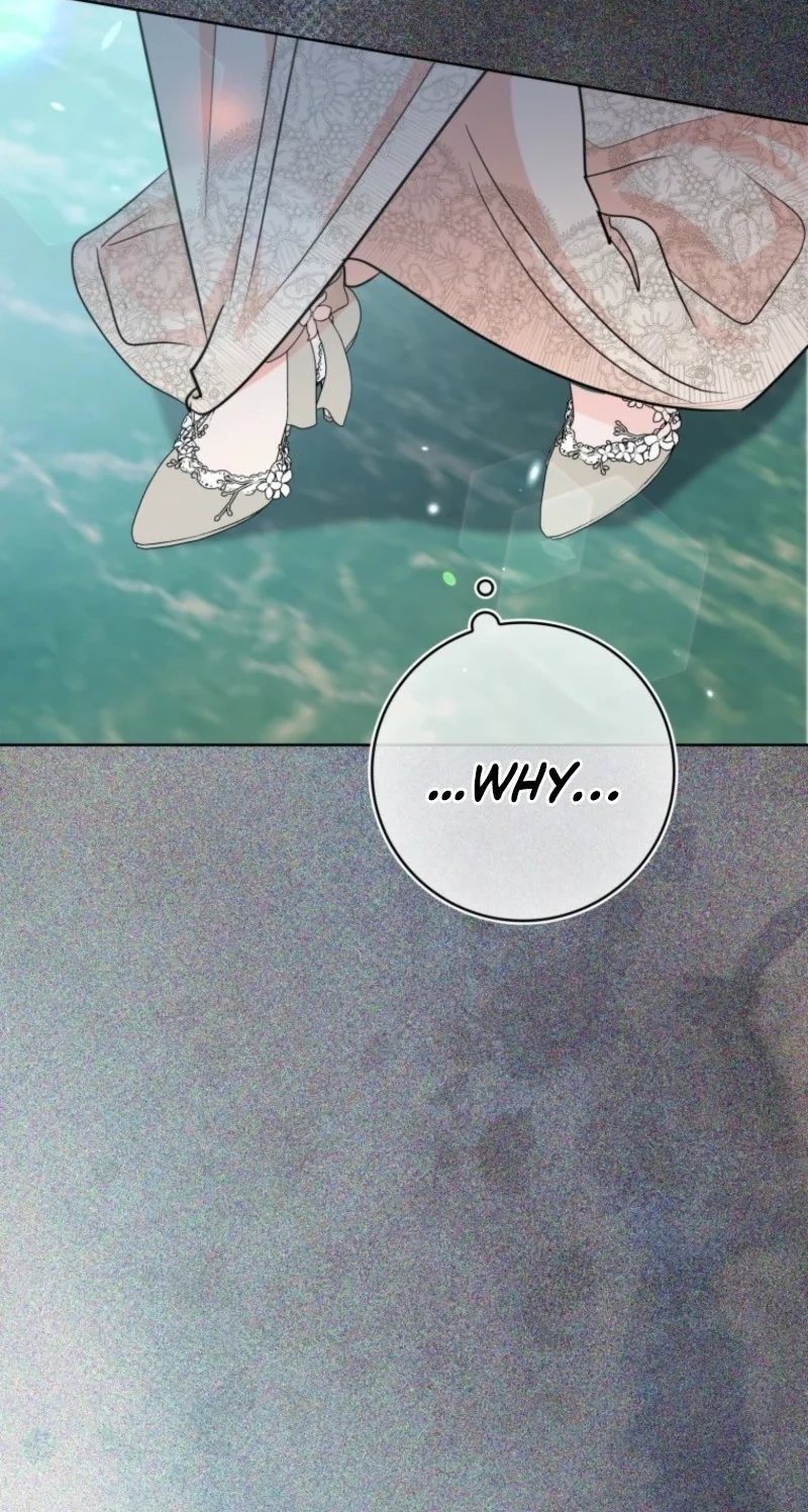 900505f8b269