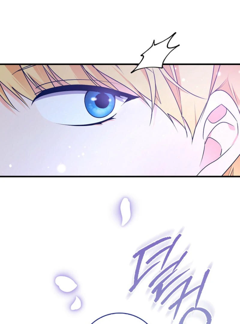 ch 9 81