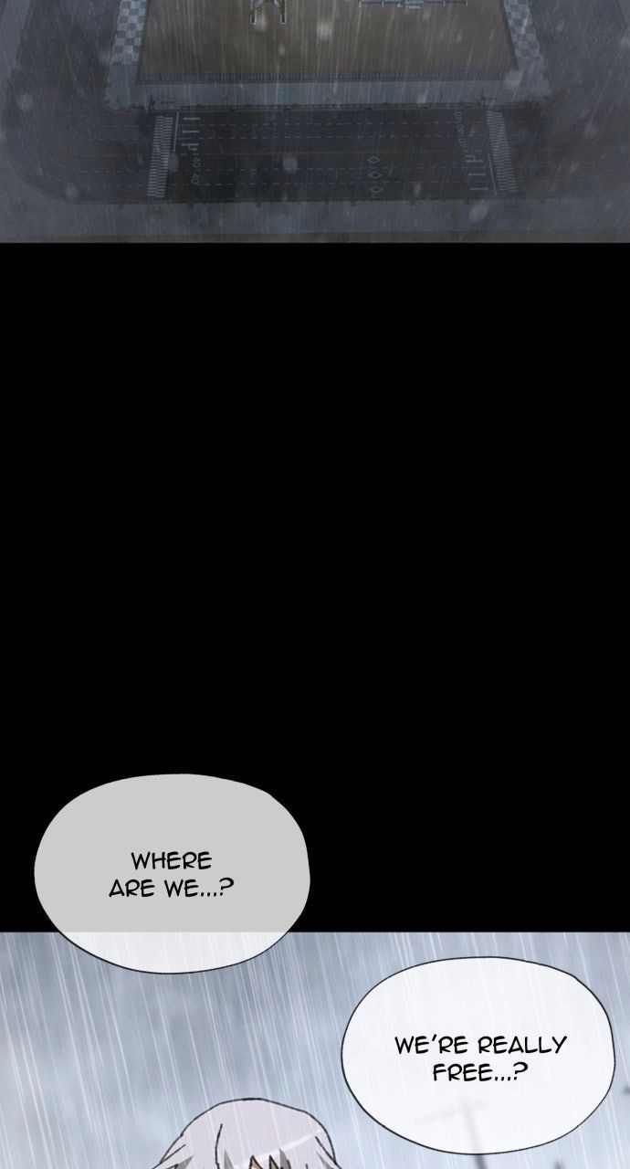 ch 25 61