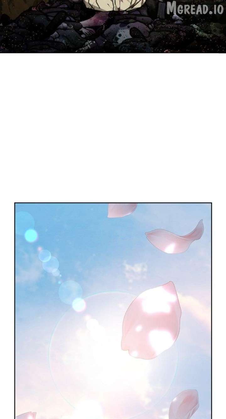 ch 31 19
