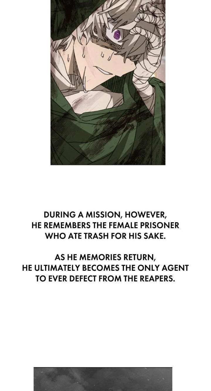 ch 33.5 40