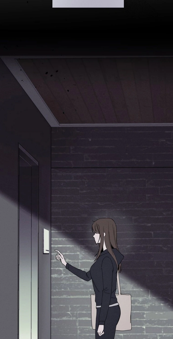 c91d5cda7d3d