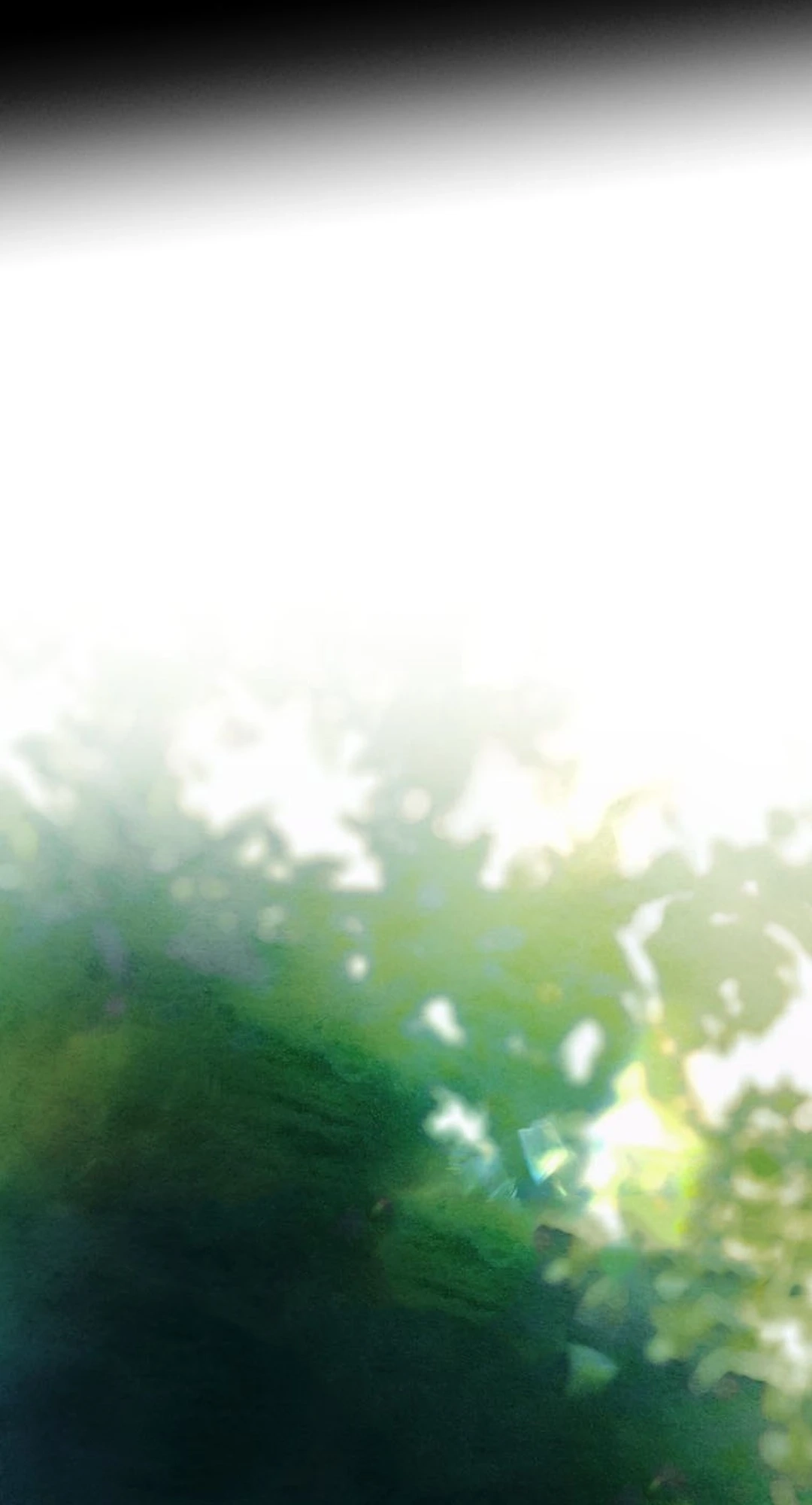 27c2aa3b3566