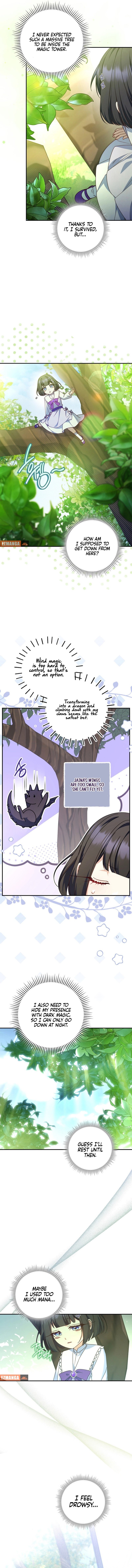 ch 23 2