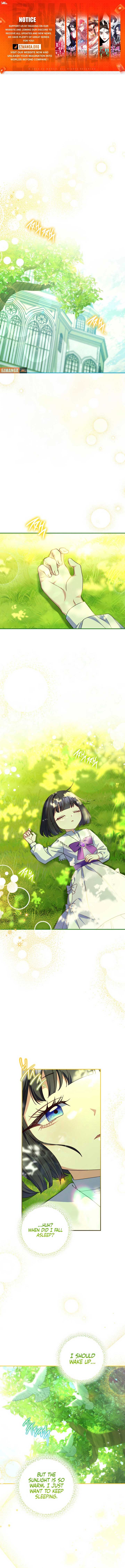 ch 24 1