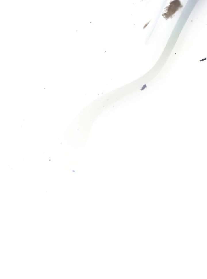 041
