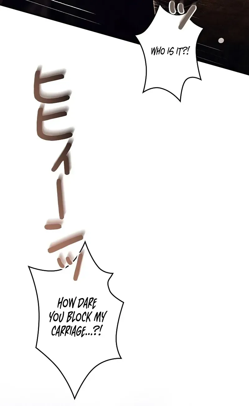 ae29fa9ca04e