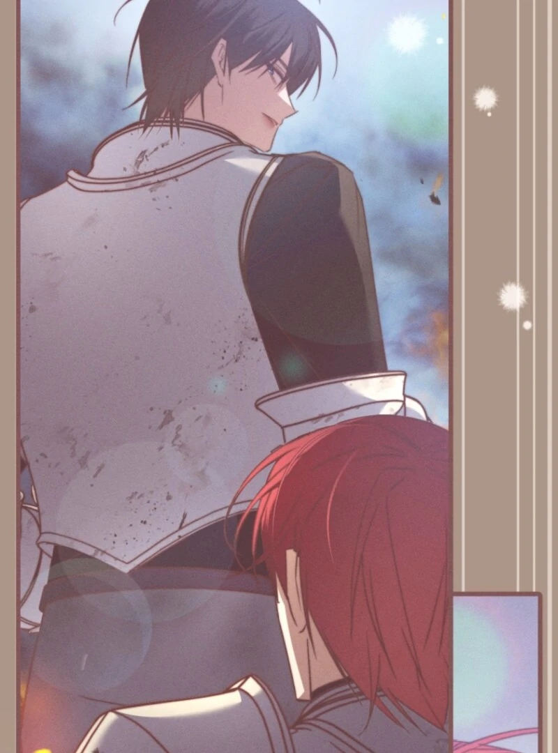 ch 61 29