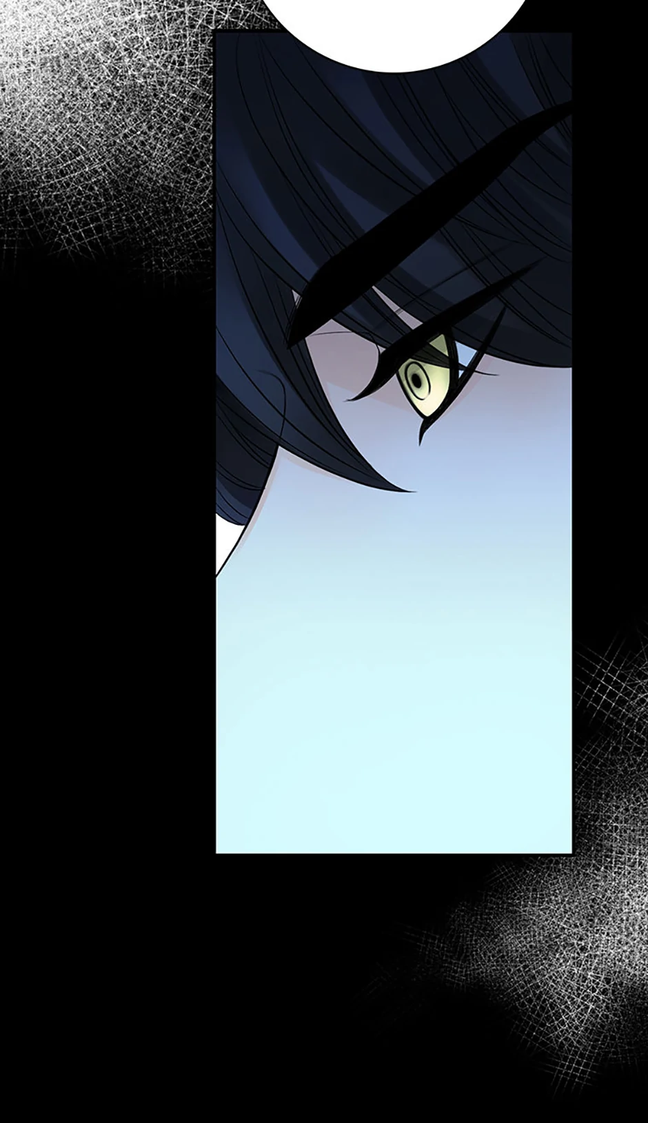 ch 81 39