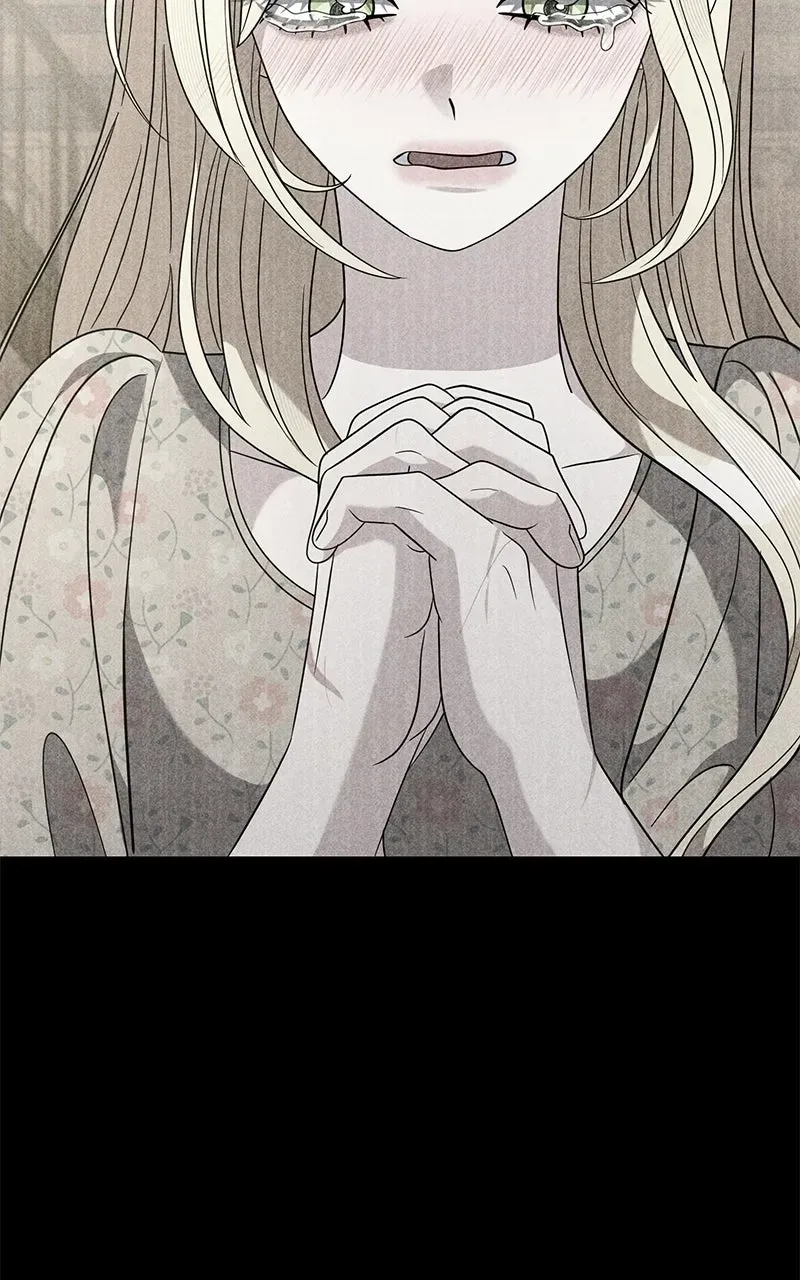 ca8e57c1e54c